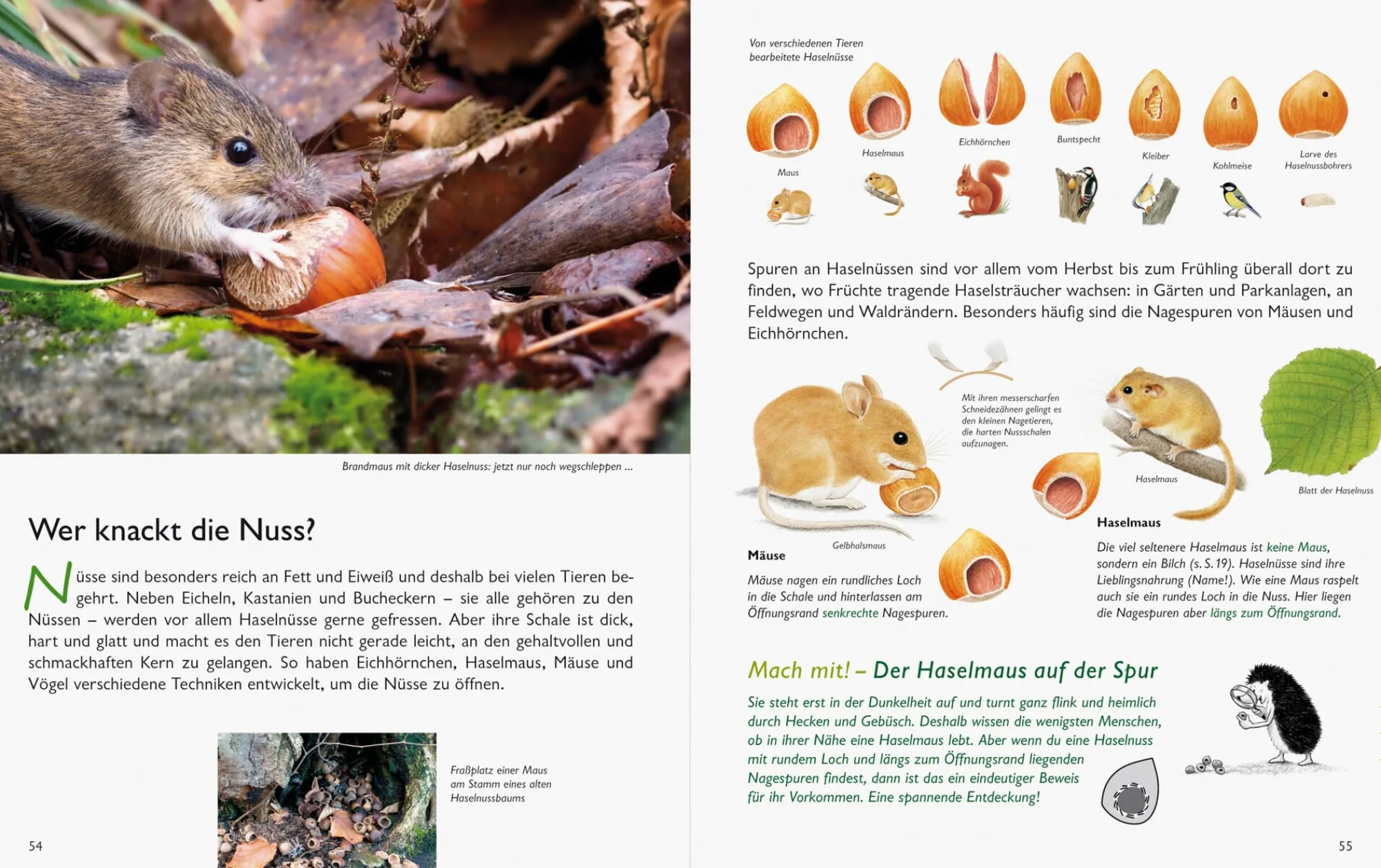 Garten & Natur|Ratgeber * Wawra Verlag Unserer Natur auf der Spur