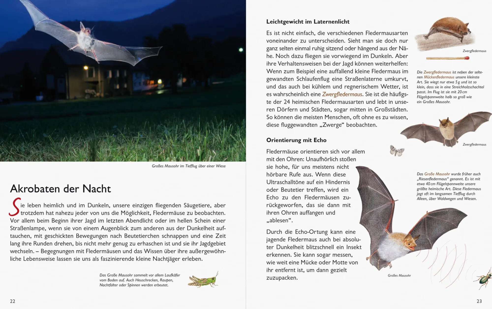 Garten & Natur|Ratgeber * Wawra Verlag Unserer Natur auf der Spur