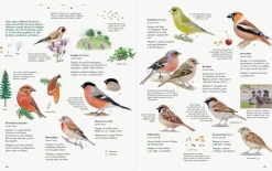 Garten & Natur|Ratgeber * Wawra Verlag Unserer Natur auf der Spur
