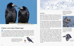 Garten & Natur|Ratgeber * Wawra Verlag Unserer Natur auf der Spur
