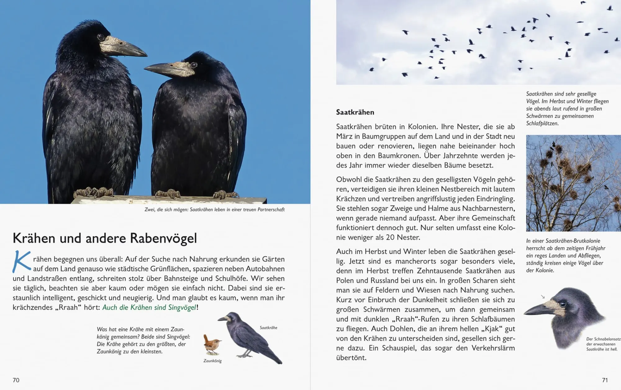 Garten & Natur|Ratgeber * Wawra Verlag Unserer Natur auf der Spur