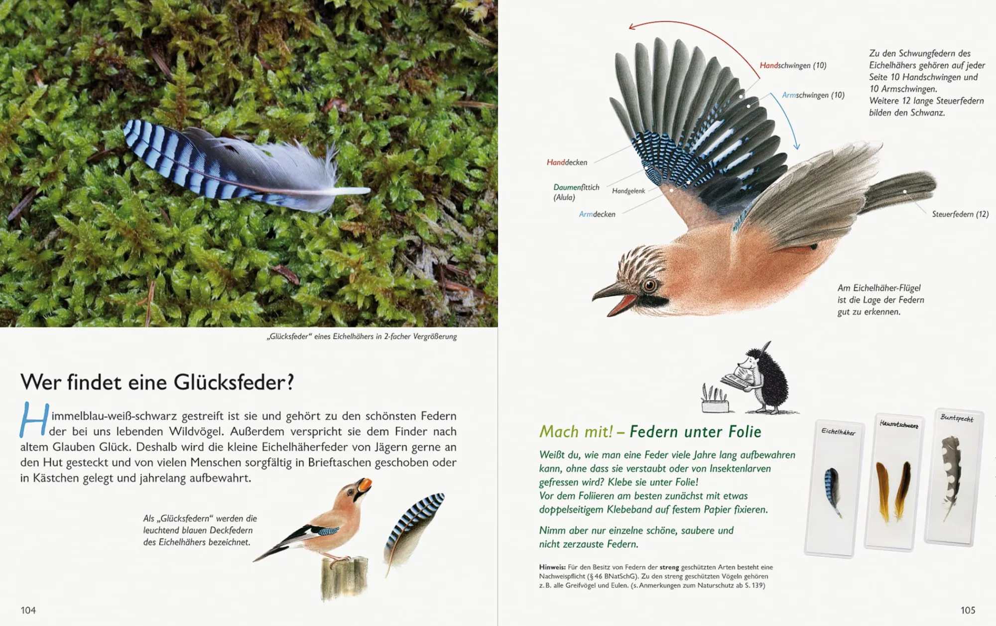 Garten & Natur|Ratgeber * Wawra Verlag Unserer Natur auf der Spur