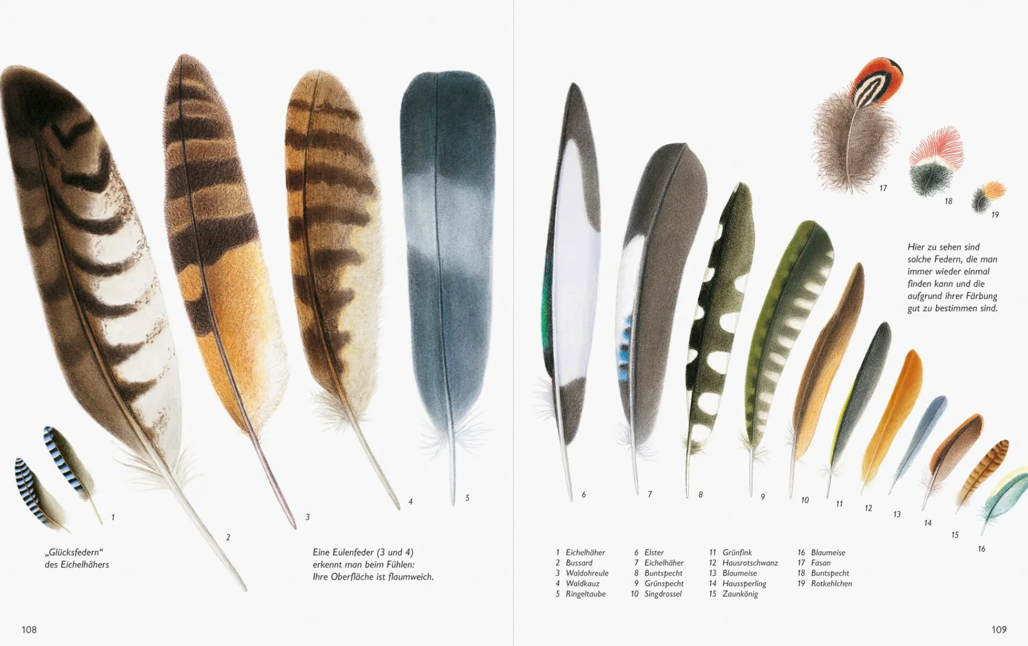 Garten & Natur|Ratgeber * Wawra Verlag Unserer Natur auf der Spur