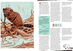 Garten & Natur|Kinderbücher * Thienemann-Esslinger Verlag Unser wildes Zuhause