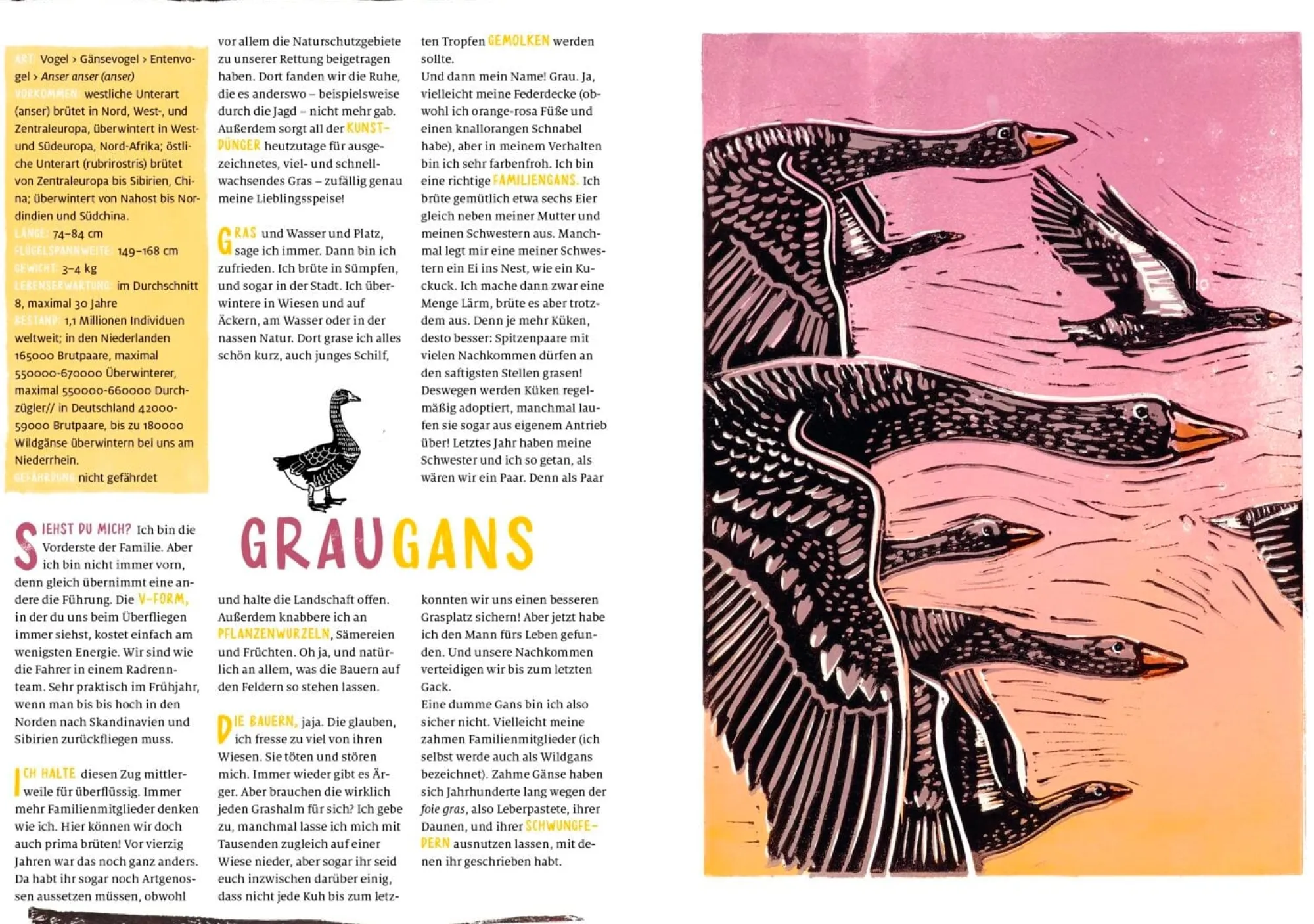 Garten & Natur|Kinderbücher * Thienemann-Esslinger Verlag Unser wildes Zuhause