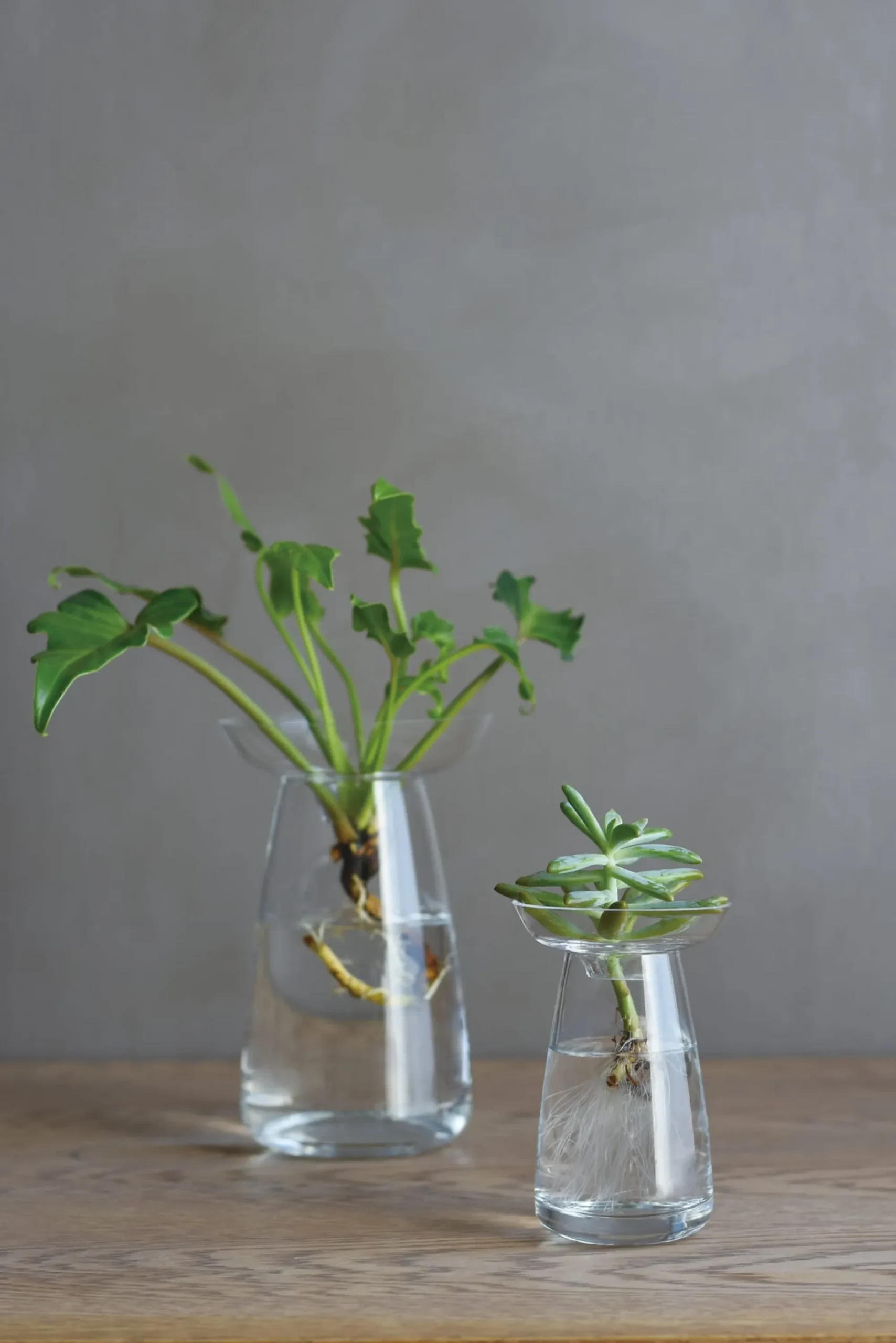 Vasen & Schalen * Kinto Vase Aqua, klein