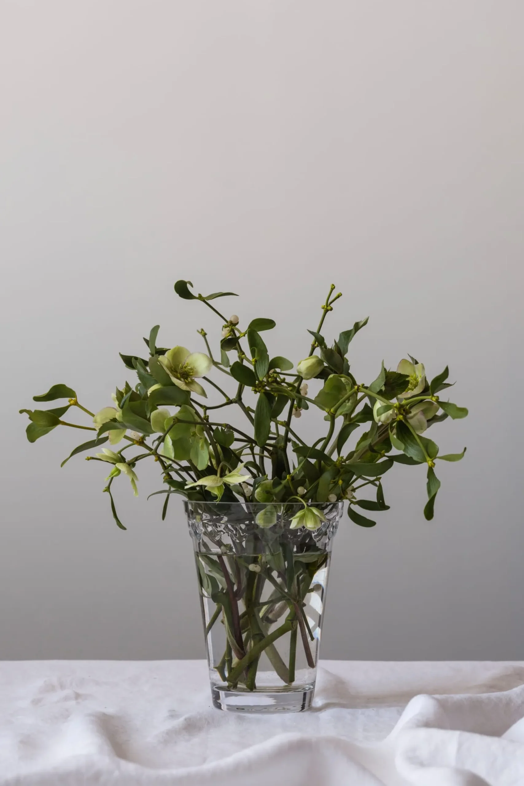 Vasen & Schalen * Bergs Potter Vase Københavner