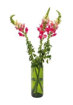 Vasen & Schalen * Q de bouteille Vase Weinflasche Smaragdgrün
