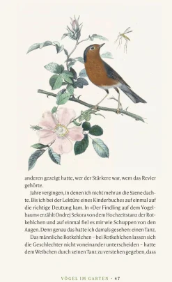 Garten & Natur|Ratgeber * Jan Thorbecke Verlag Vögel verstehen