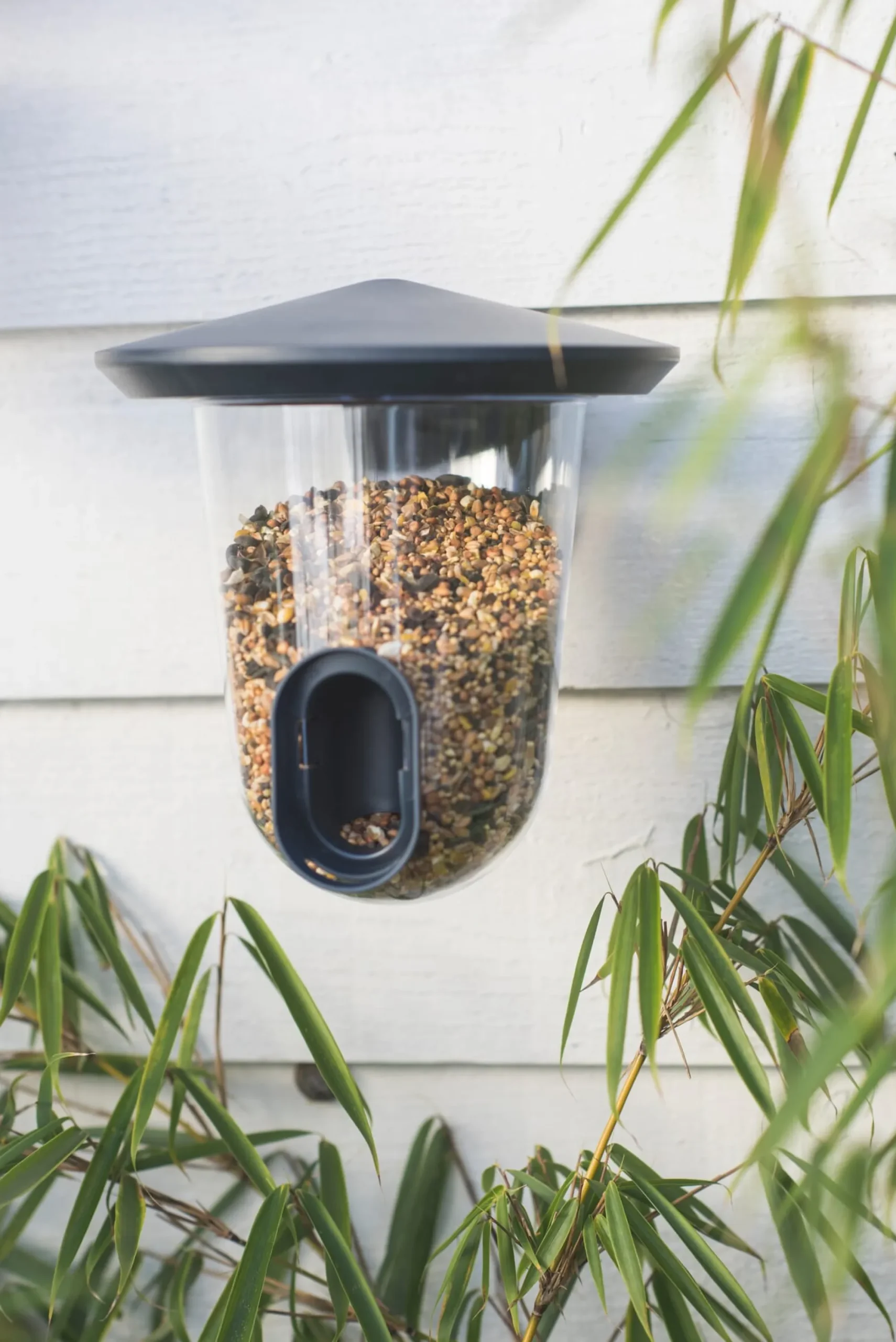Nist- & Futterplätze * Vogelfutterspender FeedR