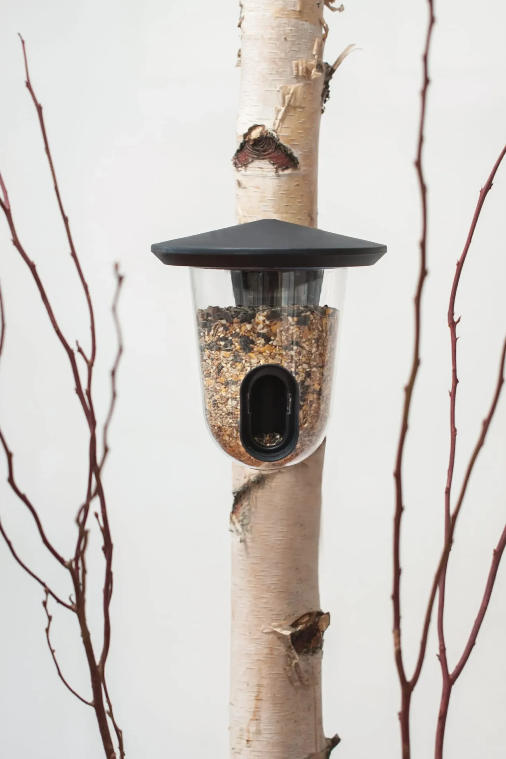 Nist- & Futterplätze * Vogelfutterspender FeedR
