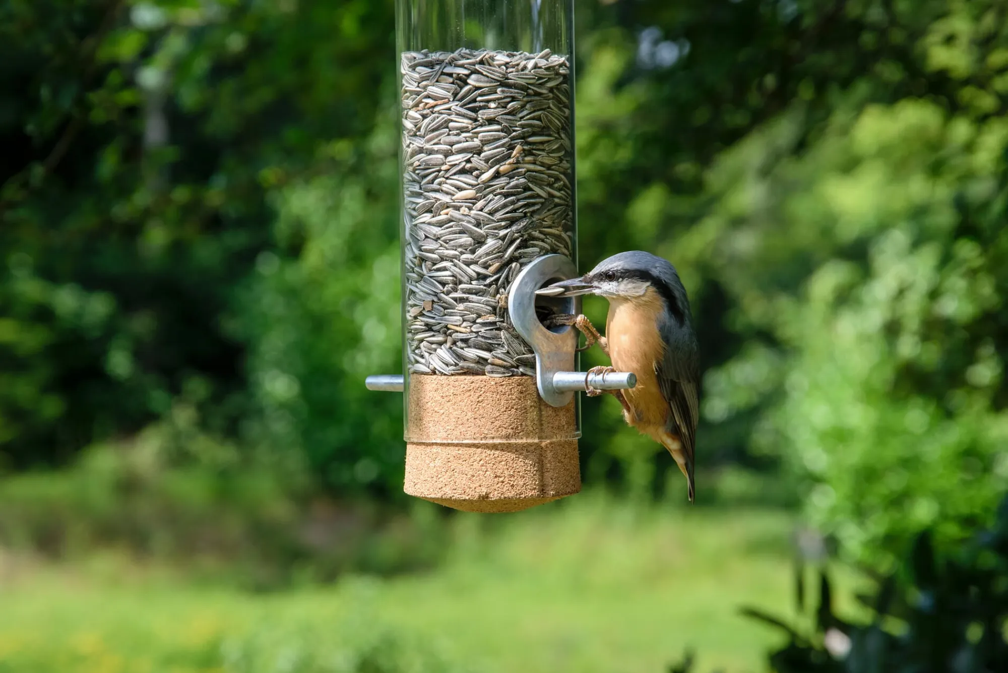 Nist- & Futterplätze * dobar® Wildlife Vogelfuttersäule Glas