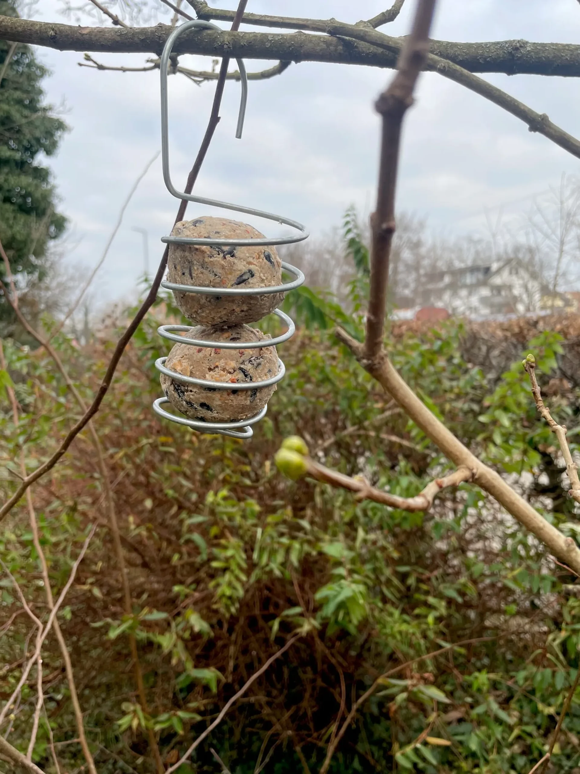 Nist- & Futterplätze * bellissa Haas Vogelknödelhalter Spirale