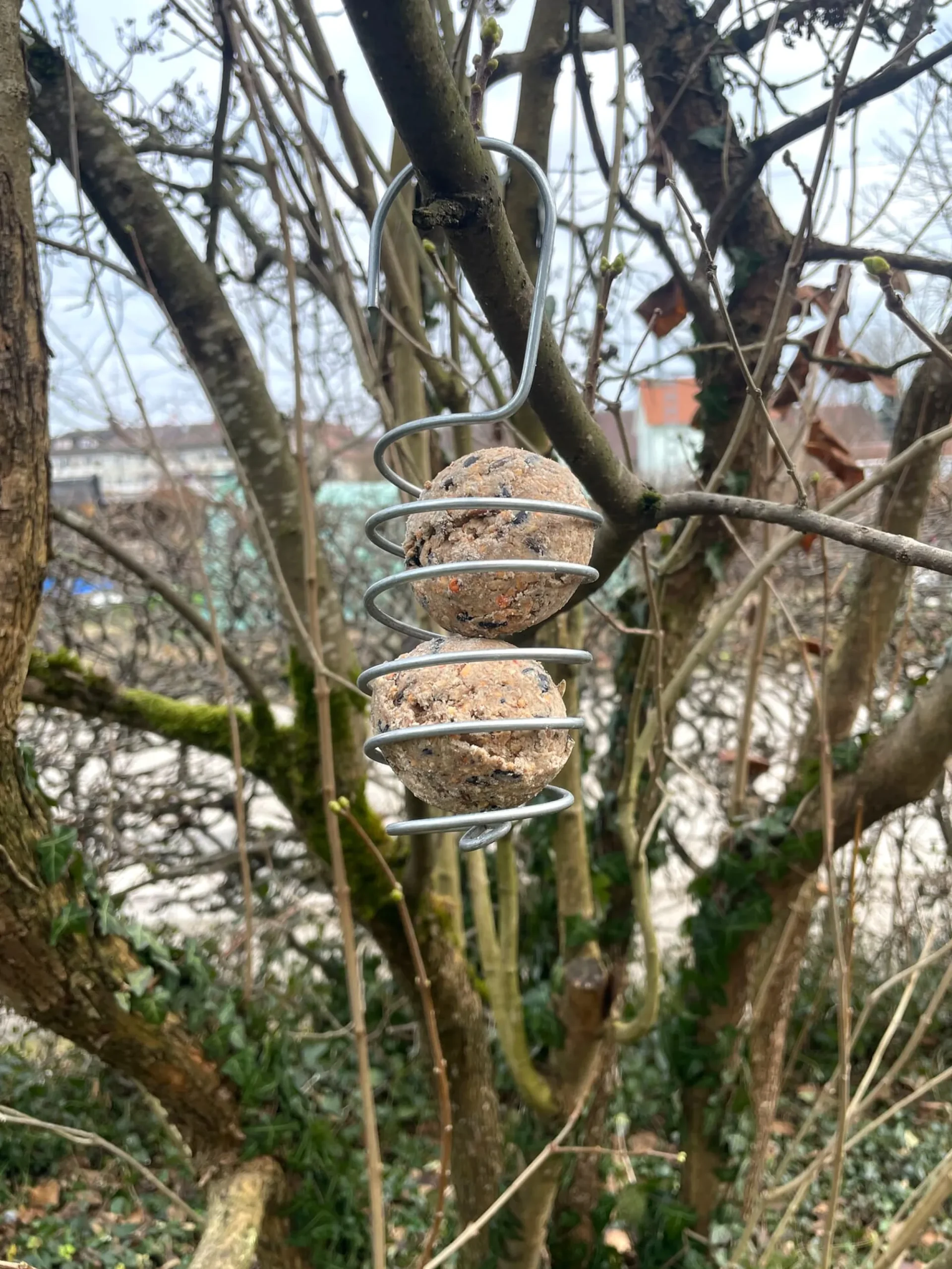Nist- & Futterplätze * bellissa Haas Vogelknödelhalter Spirale