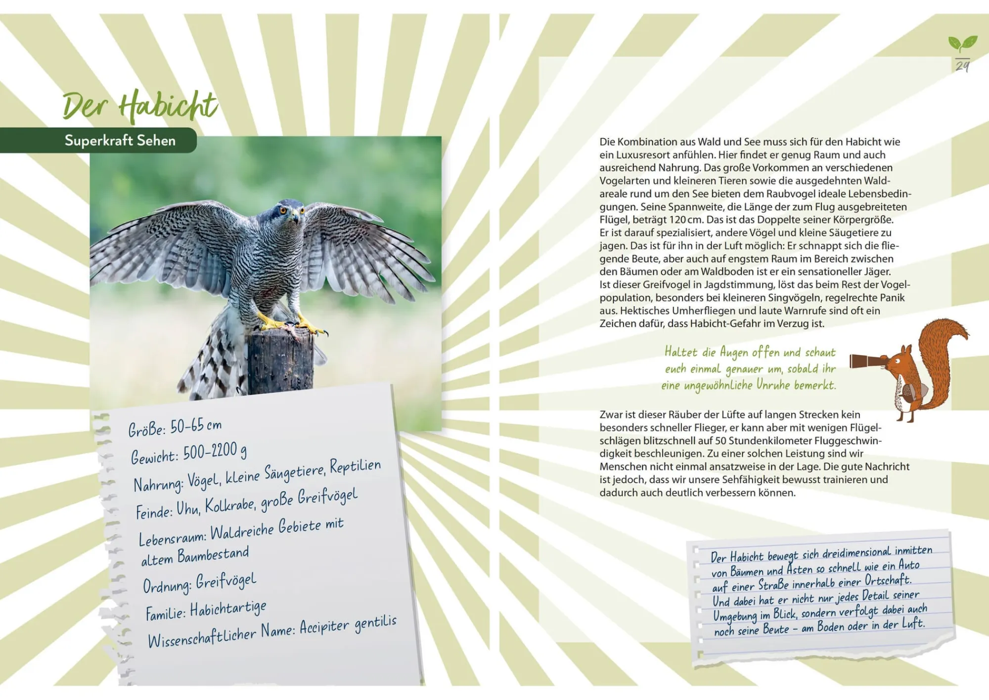 Garten & Natur|Ratgeber * Bassermann Verlag Waldabenteuer für die ganze Familie
