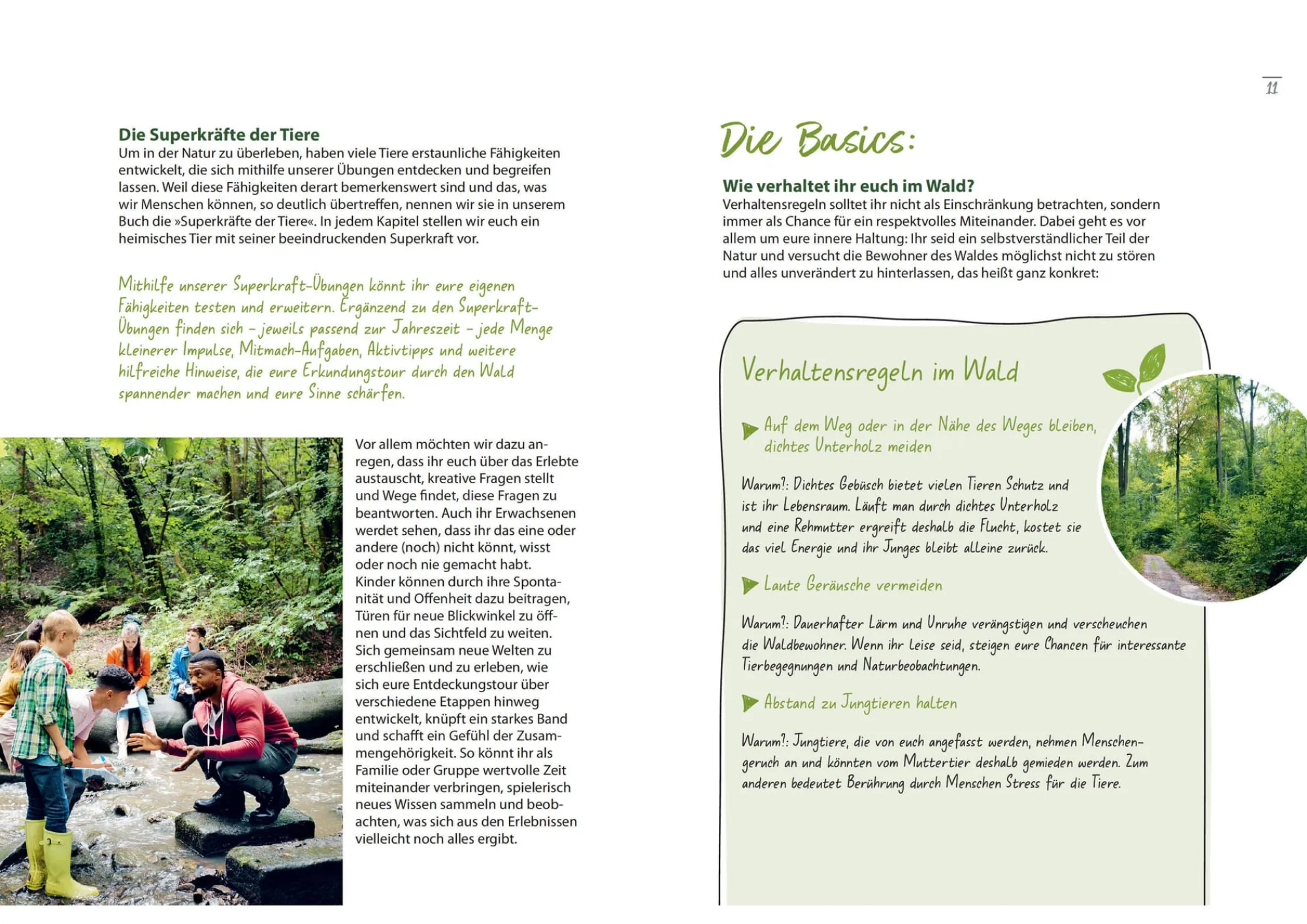 Garten & Natur|Ratgeber * Bassermann Verlag Waldabenteuer für die ganze Familie