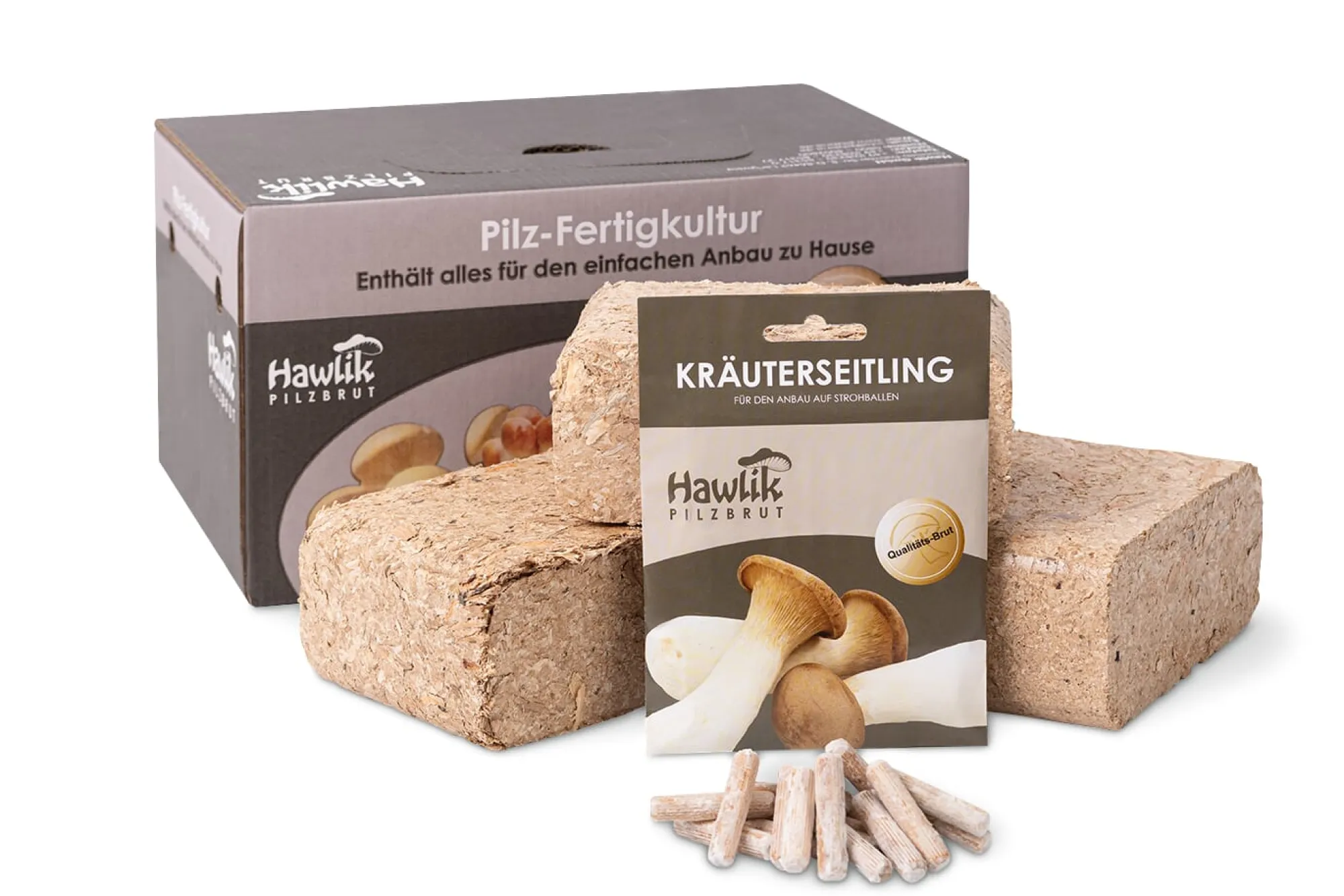 Gemüsesamen * Hawlik Pilzbrut Waldpilzbrut 'Kräuterseitling'