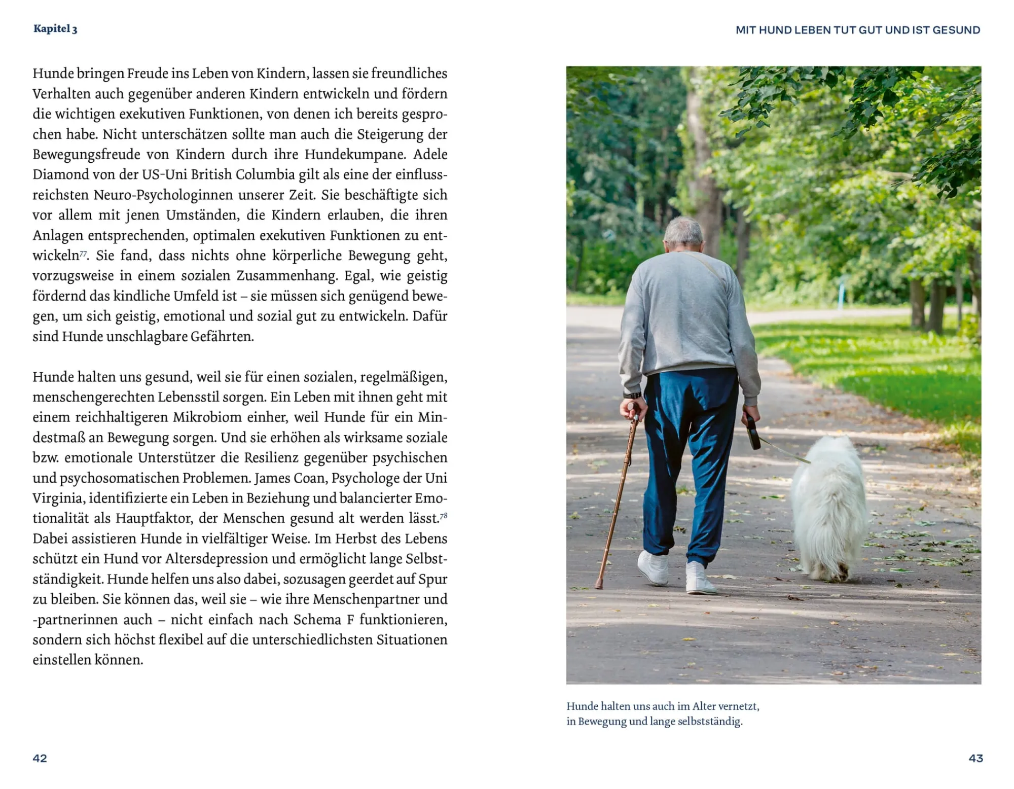 Ratgeber * Christian Brandstätter Verlag Warum Hunde uns zu besseren Menschen machen