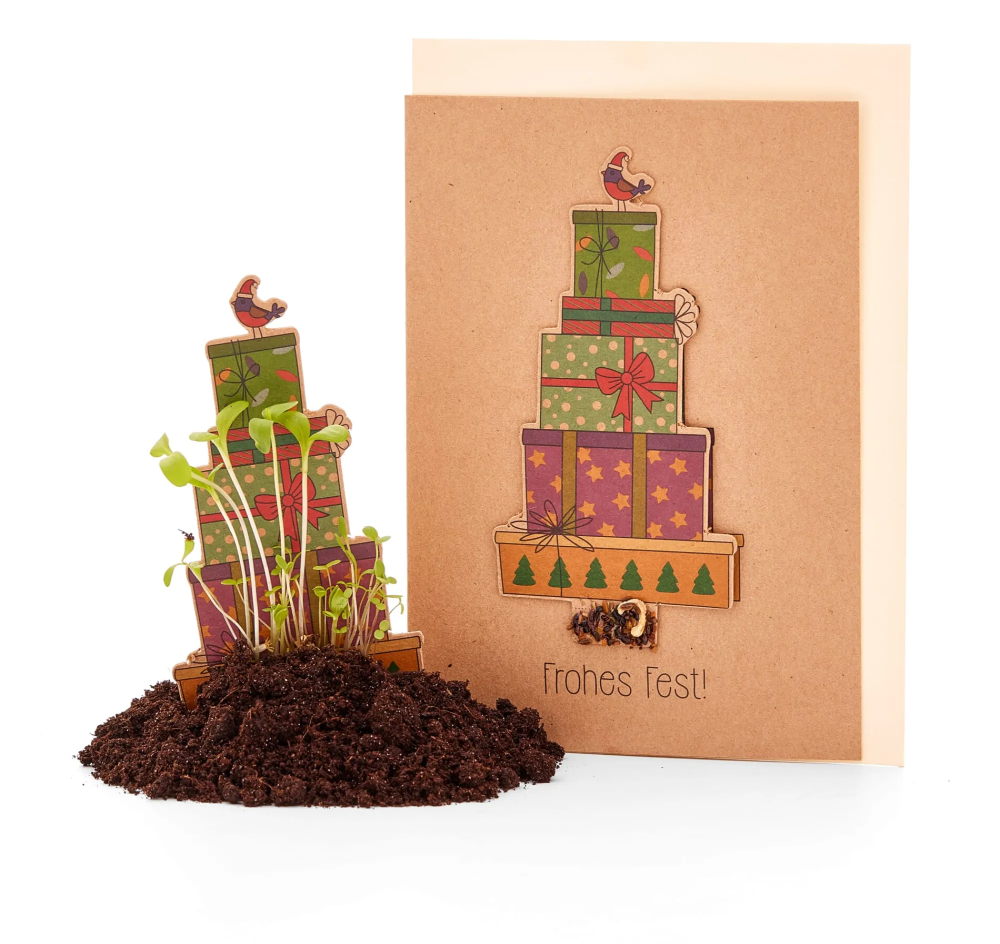 Papeterie|Blumensamen * Die Stadtgärtner Weihnachtskarten mit Wildblumensamen