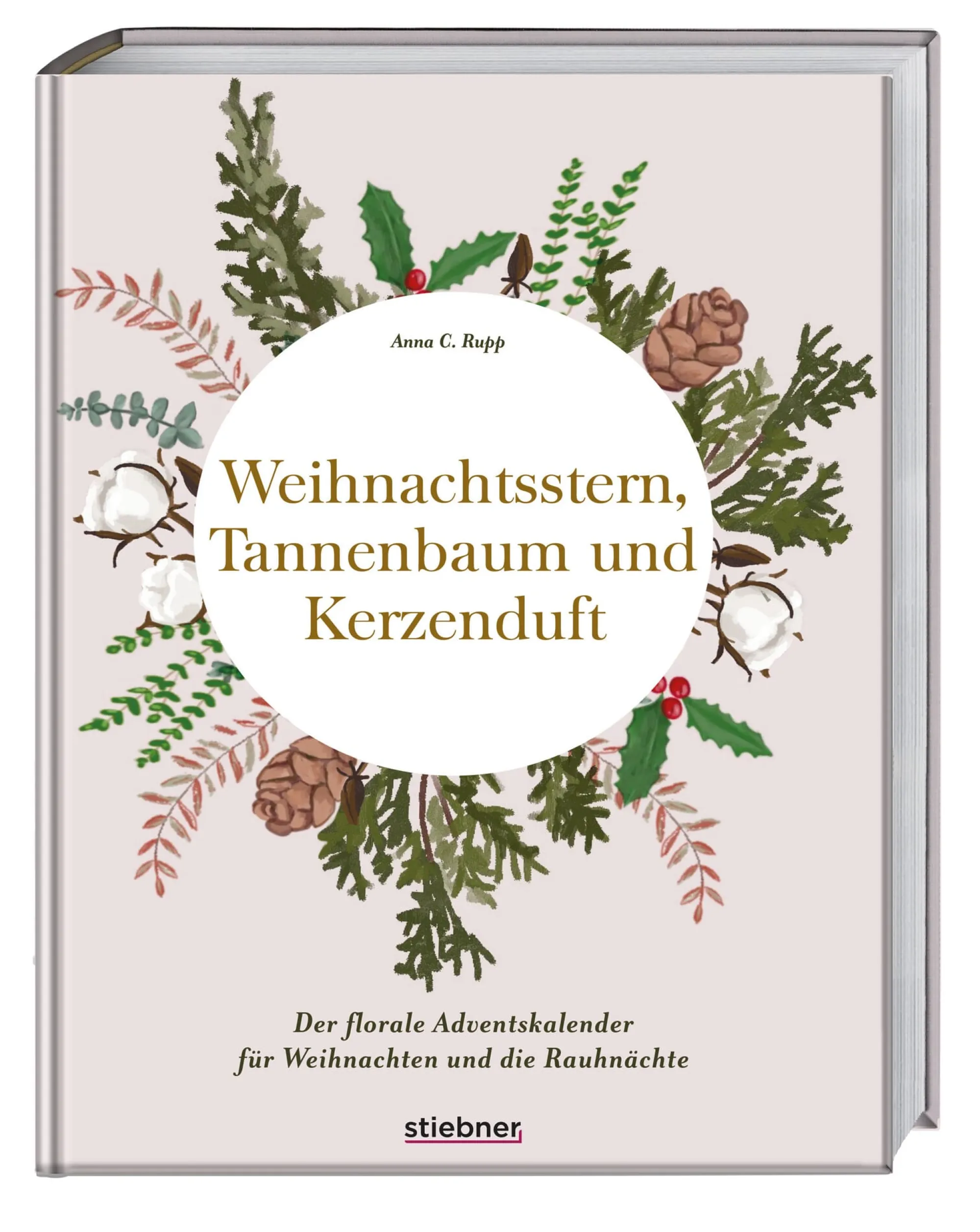 Ratgeber * Stiebner Weihnachtsstern, Tannenbaum und Kerzenduft