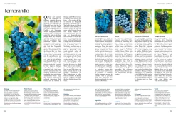 Ratgeber * ZS - ein Verlag der Edel Verlagsgruppe Wein – Die große Schule