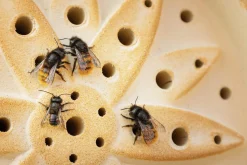 Nist- & Futterplätze * Denk Keramische Werkstätten Wildbienenhaus Keramik