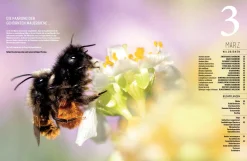 Garten & Natur|Ratgeber * eder-roemer Verlag Wildbienenhelfer