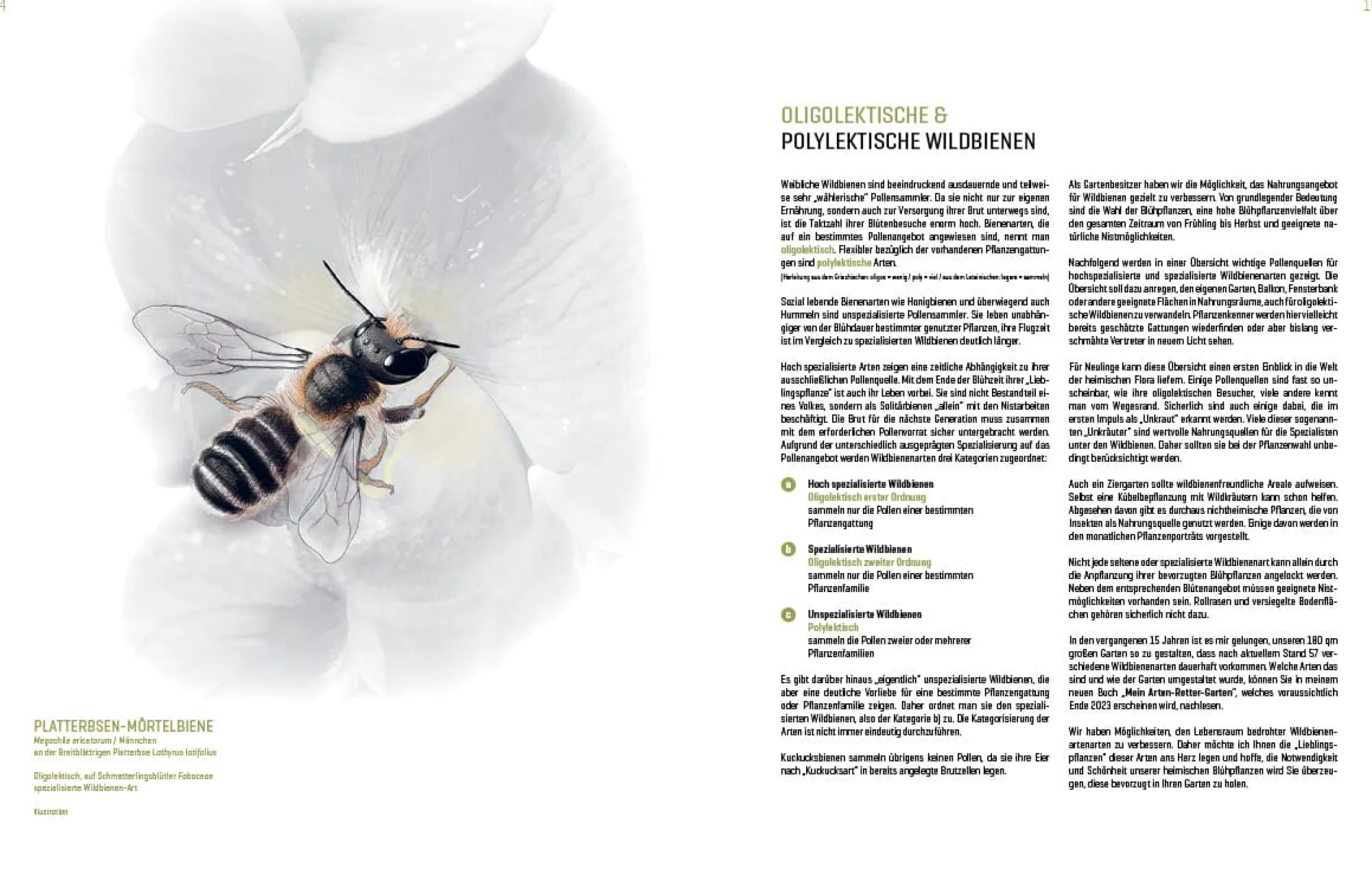 Garten & Natur|Ratgeber * eder-roemer Verlag Wildbienenhelfer