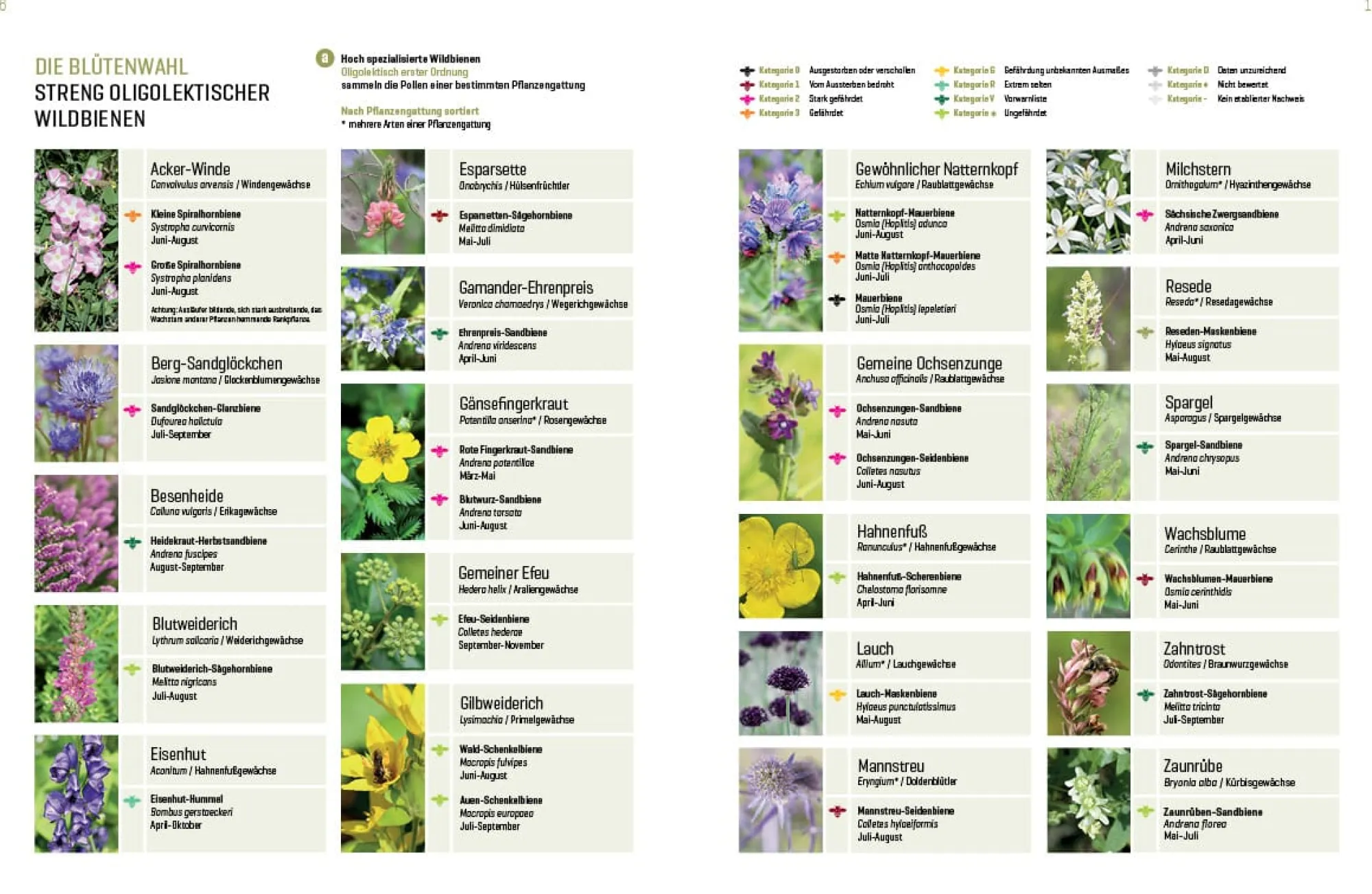 Garten & Natur|Ratgeber * eder-roemer Verlag Wildbienenhelfer