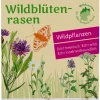 Blumensamen * Tausende Gärten – Tausende Arten Wildblumenrasen gebietsheimisch
