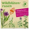 Blumensamen * Tausende Gärten – Tausende Arten Wildblumenrasen gebietsheimisch