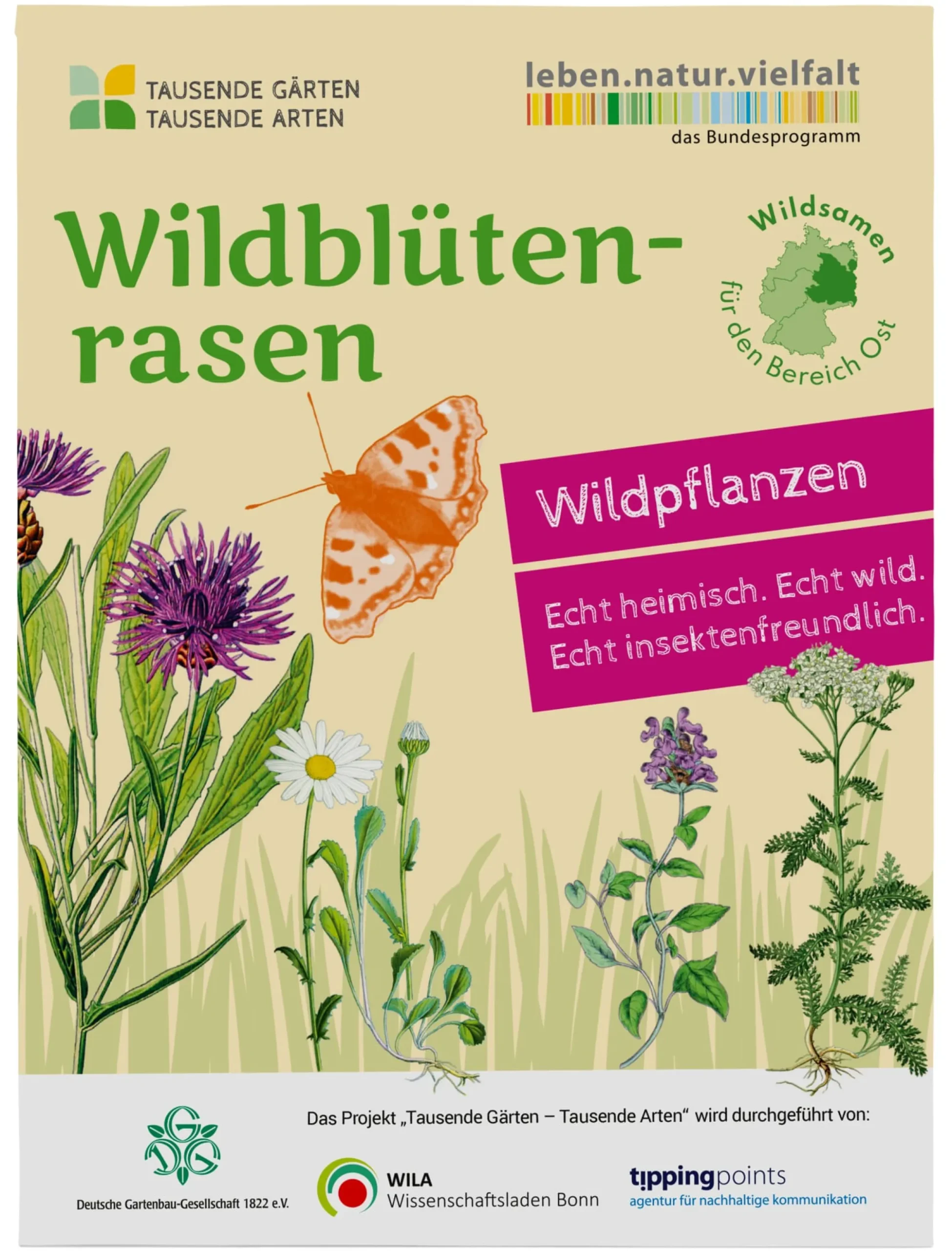 Blumensamen * Tausende Gärten – Tausende Arten Wildblumenrasen gebietsheimisch