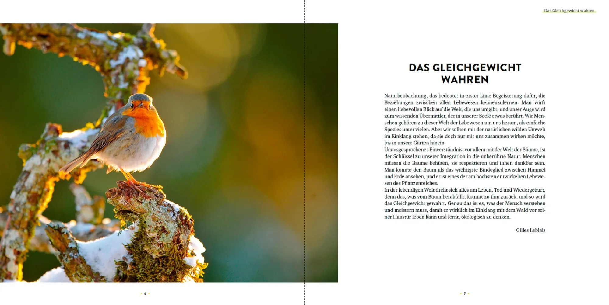 Garten & Natur|Ratgeber * Ulmer Verlag Wilde Ecken und Totholz im Garten