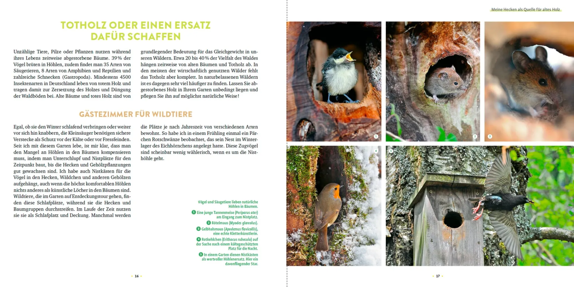 Garten & Natur|Ratgeber * Ulmer Verlag Wilde Ecken und Totholz im Garten