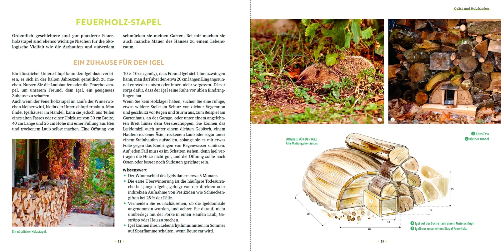 Garten & Natur|Ratgeber * Ulmer Verlag Wilde Ecken und Totholz im Garten