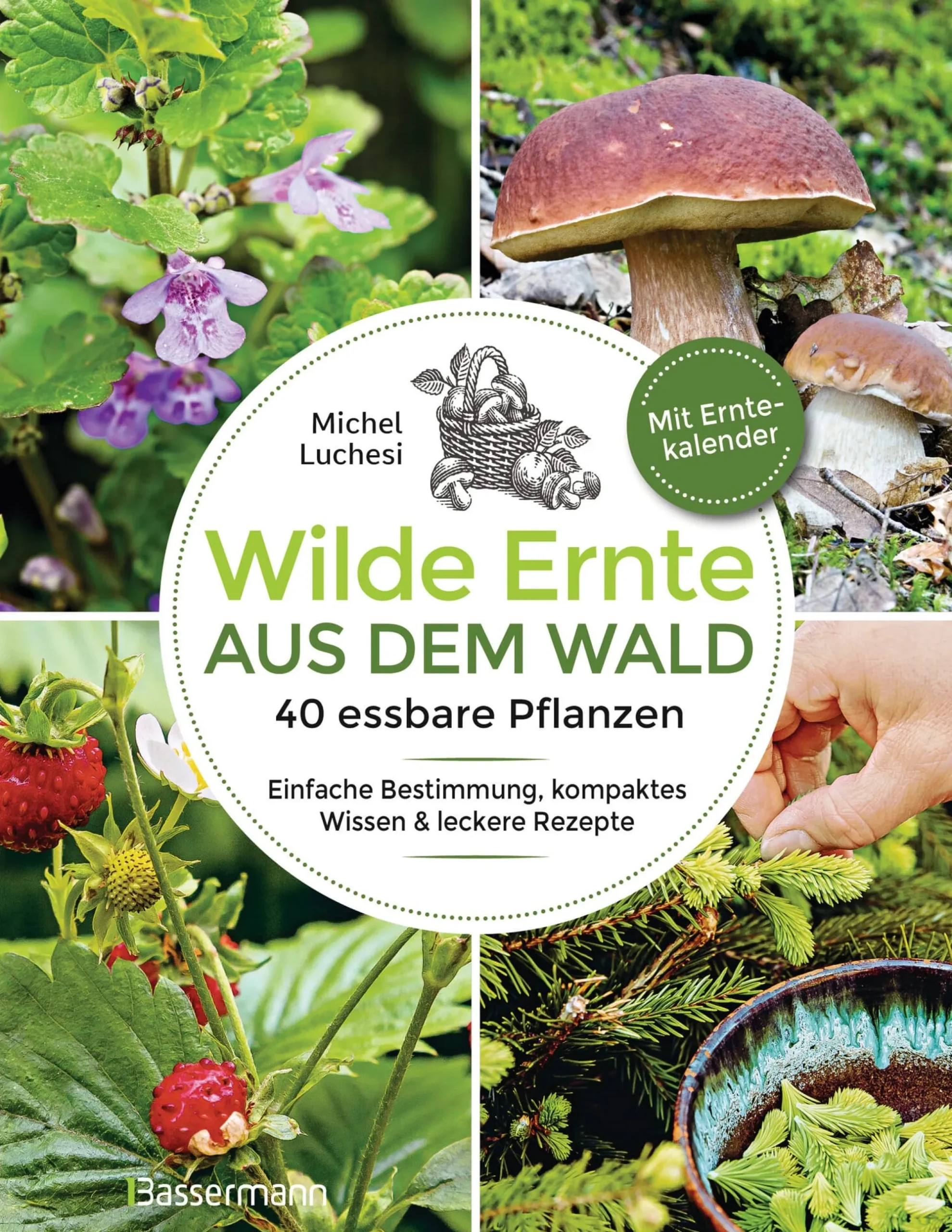 Garten & Natur|Kochen & Backen * Bassermann Verlag Wilde Ernte aus dem Wald