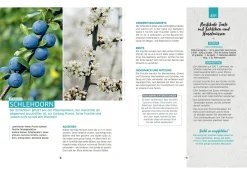 Garten & Natur|Kochen & Backen * Bassermann Verlag Wilde Ernte aus dem Wald