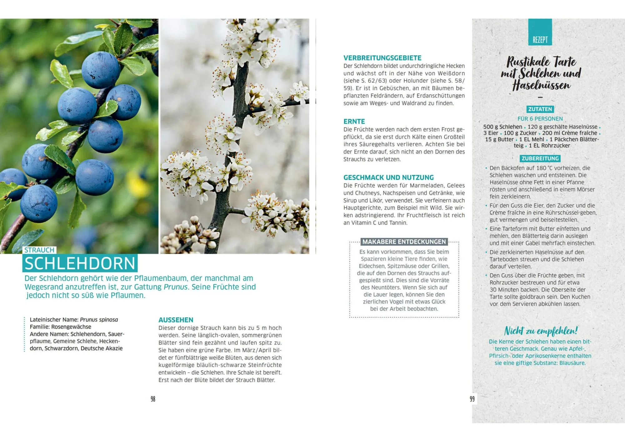 Garten & Natur|Kochen & Backen * Bassermann Verlag Wilde Ernte aus dem Wald