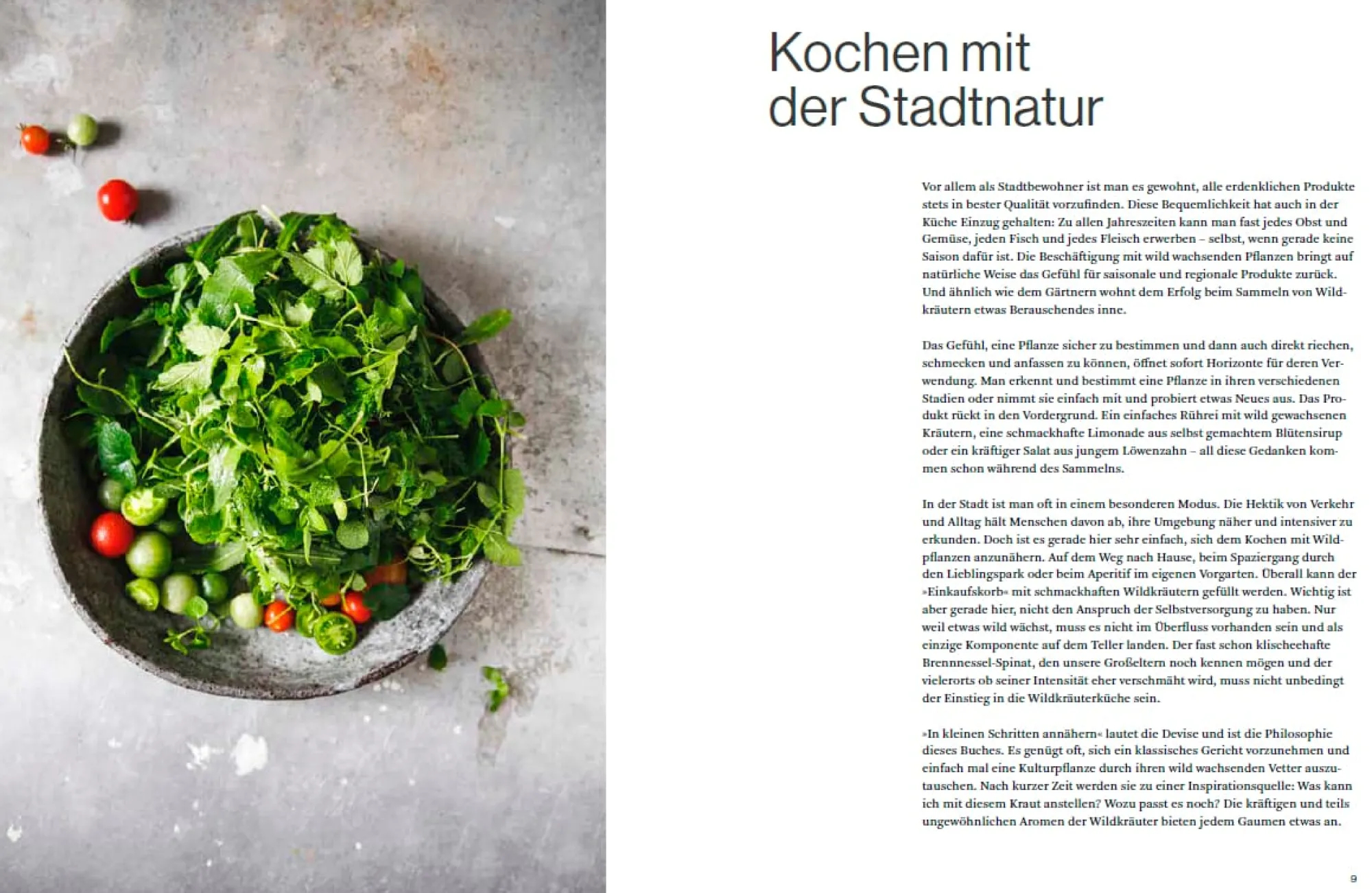 Kochen & Backen * ars vivendi verlag Wilde Stadt