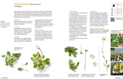 Garten & Natur|Kochen & Backen * Becker Joest Volk Verlag Wildkräuter