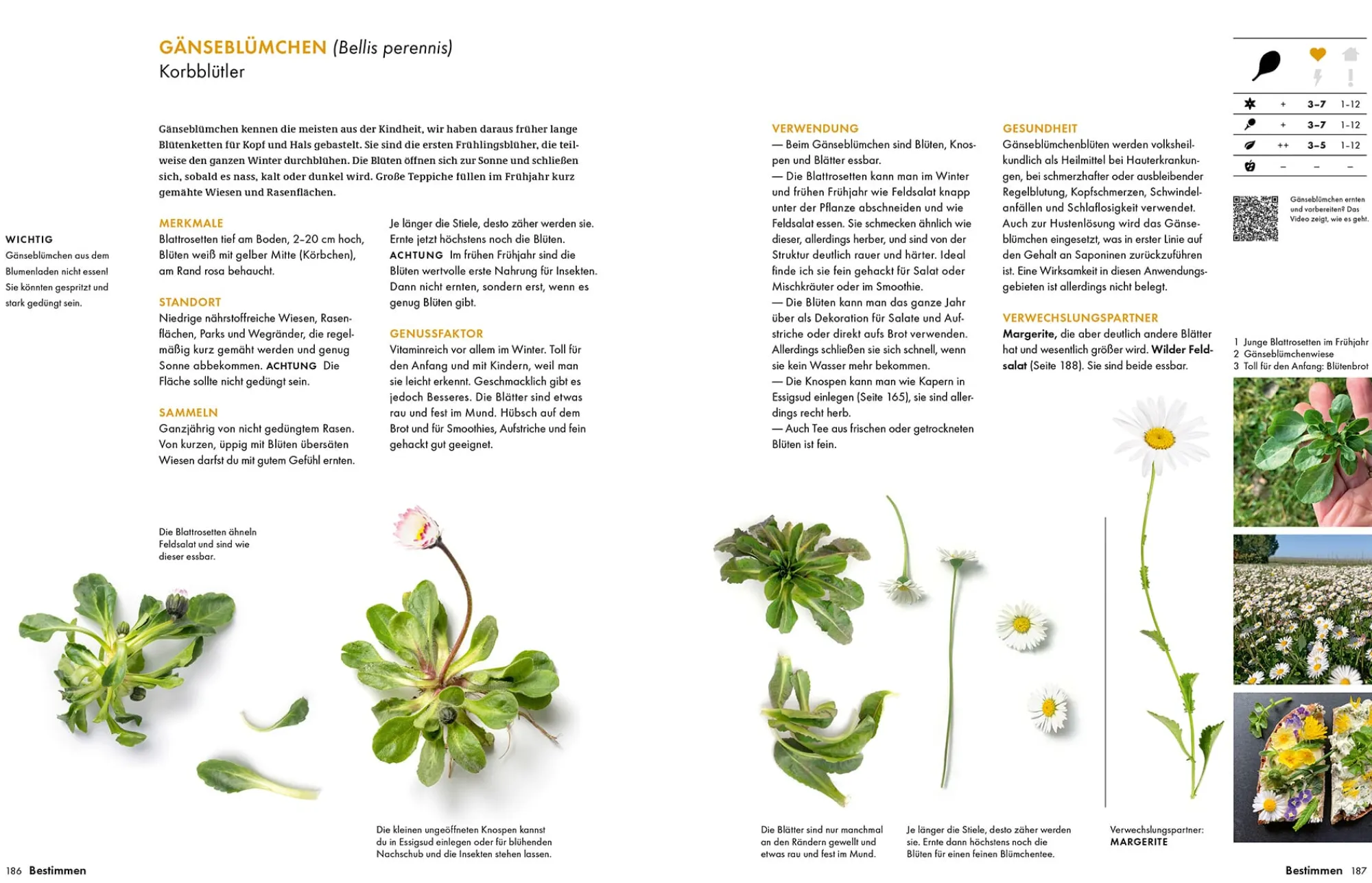 Garten & Natur|Kochen & Backen * Becker Joest Volk Verlag Wildkräuter