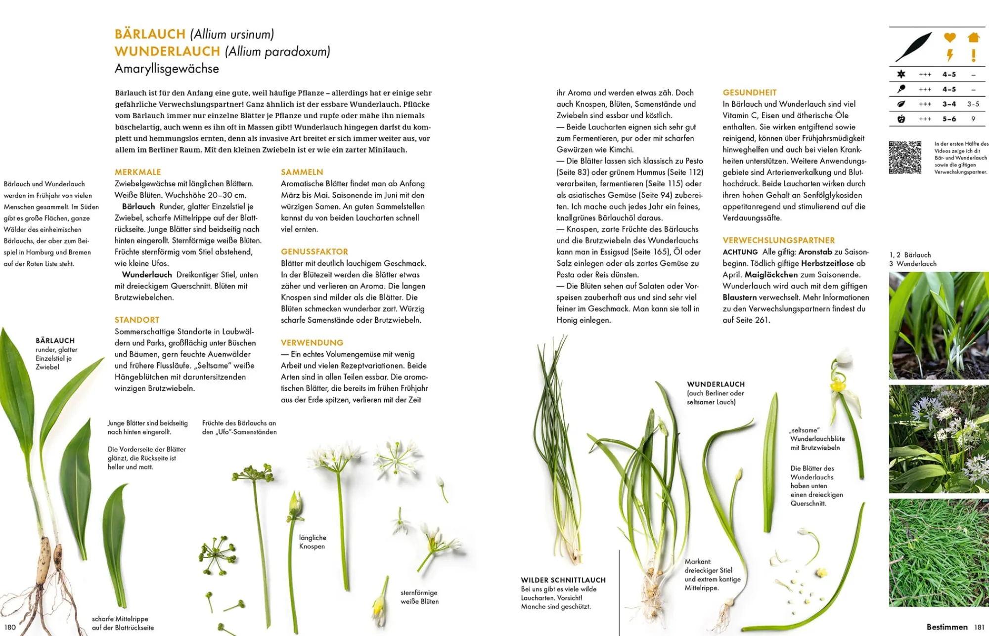 Garten & Natur|Kochen & Backen * Becker Joest Volk Verlag Wildkräuter