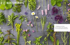 Garten & Natur|Kochen & Backen * Becker Joest Volk Verlag Wildkräuter