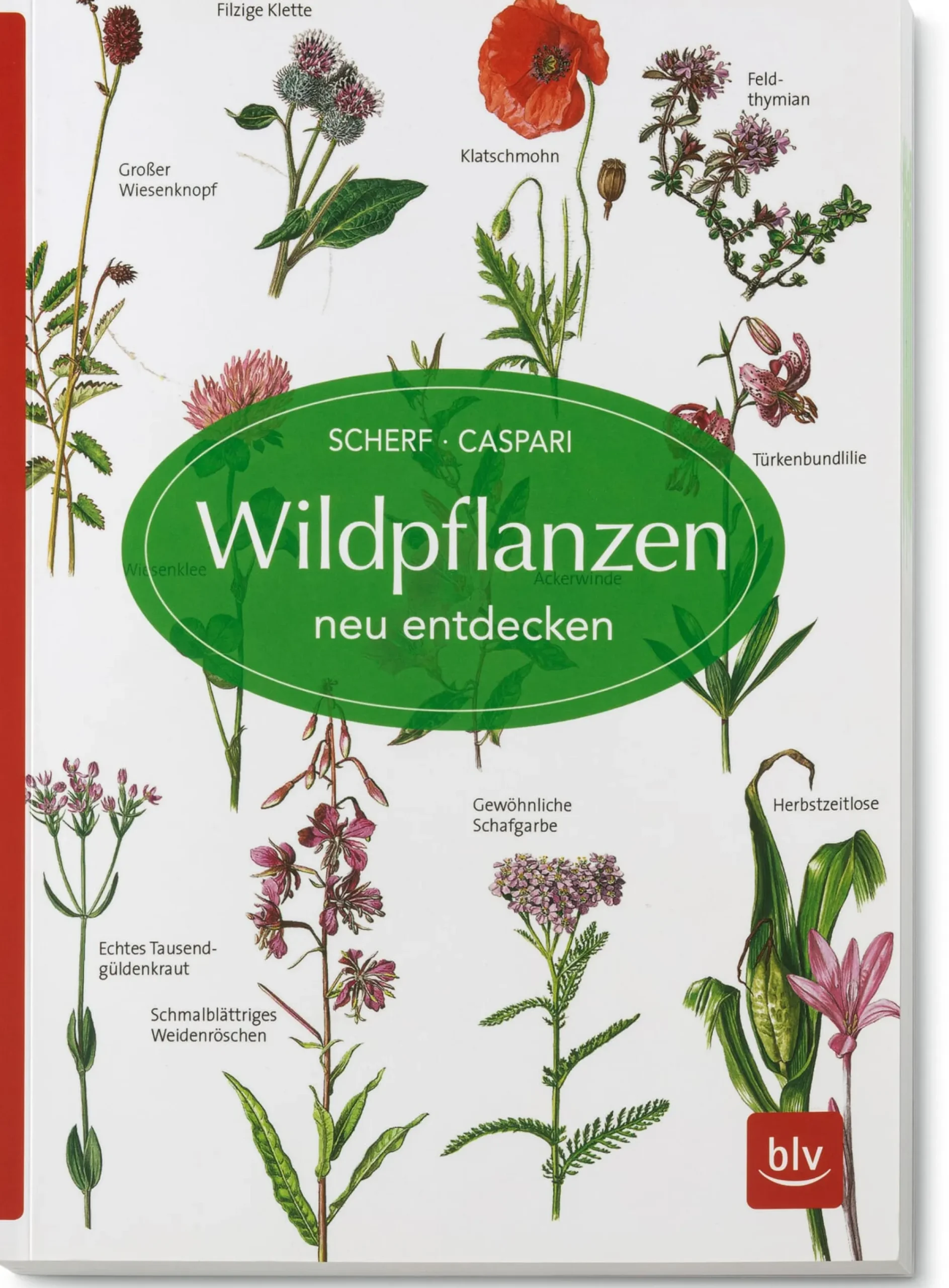 Garten & Natur|Ratgeber * BLV Buchverlag Wildpflanzen neu entdecken