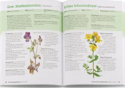 Garten & Natur|Ratgeber * BLV Buchverlag Wildpflanzen neu entdecken