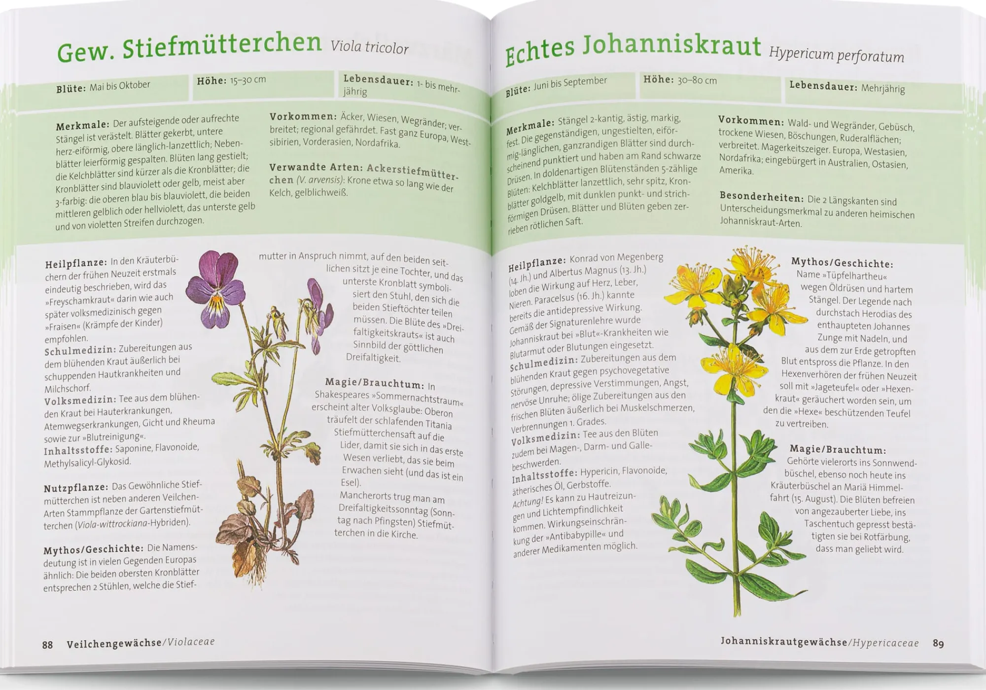Garten & Natur|Ratgeber * BLV Buchverlag Wildpflanzen neu entdecken