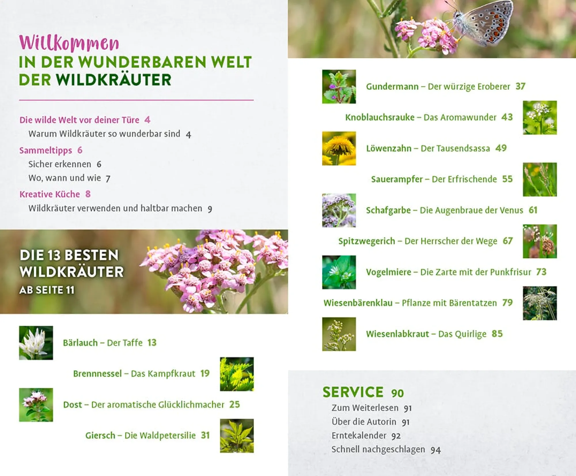 Kochen & Backen|Ratgeber * Ulmer Verlag Wild und wunderbar: die 13 besten Wildkräuter