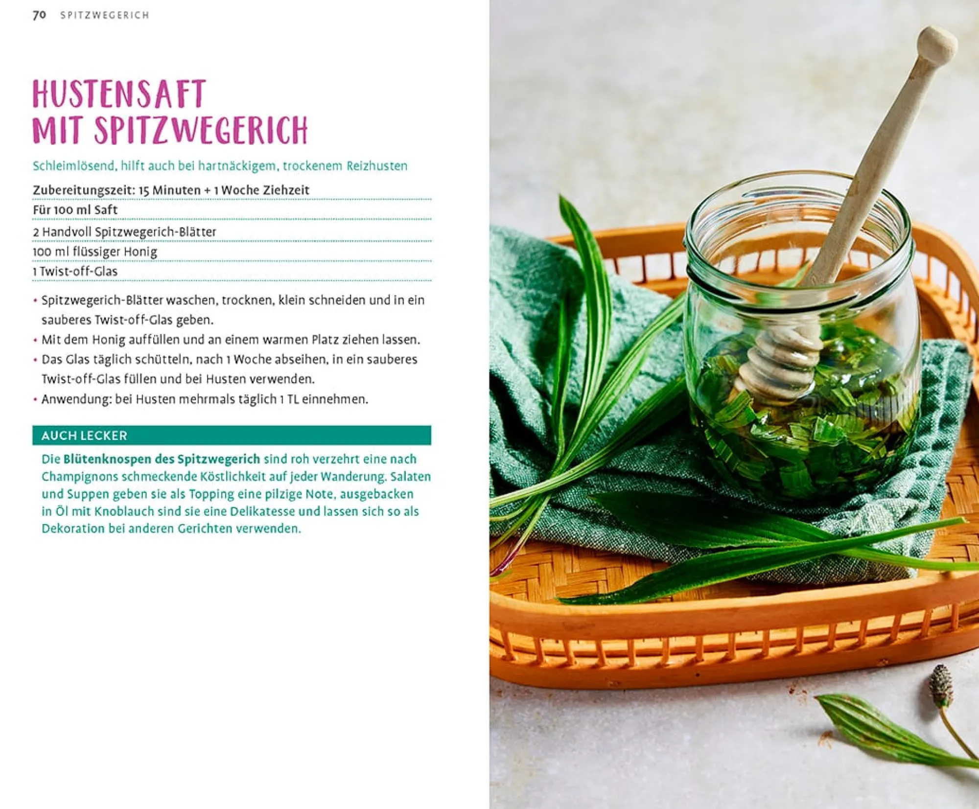 Kochen & Backen|Ratgeber * Ulmer Verlag Wild und wunderbar: die 13 besten Wildkräuter
