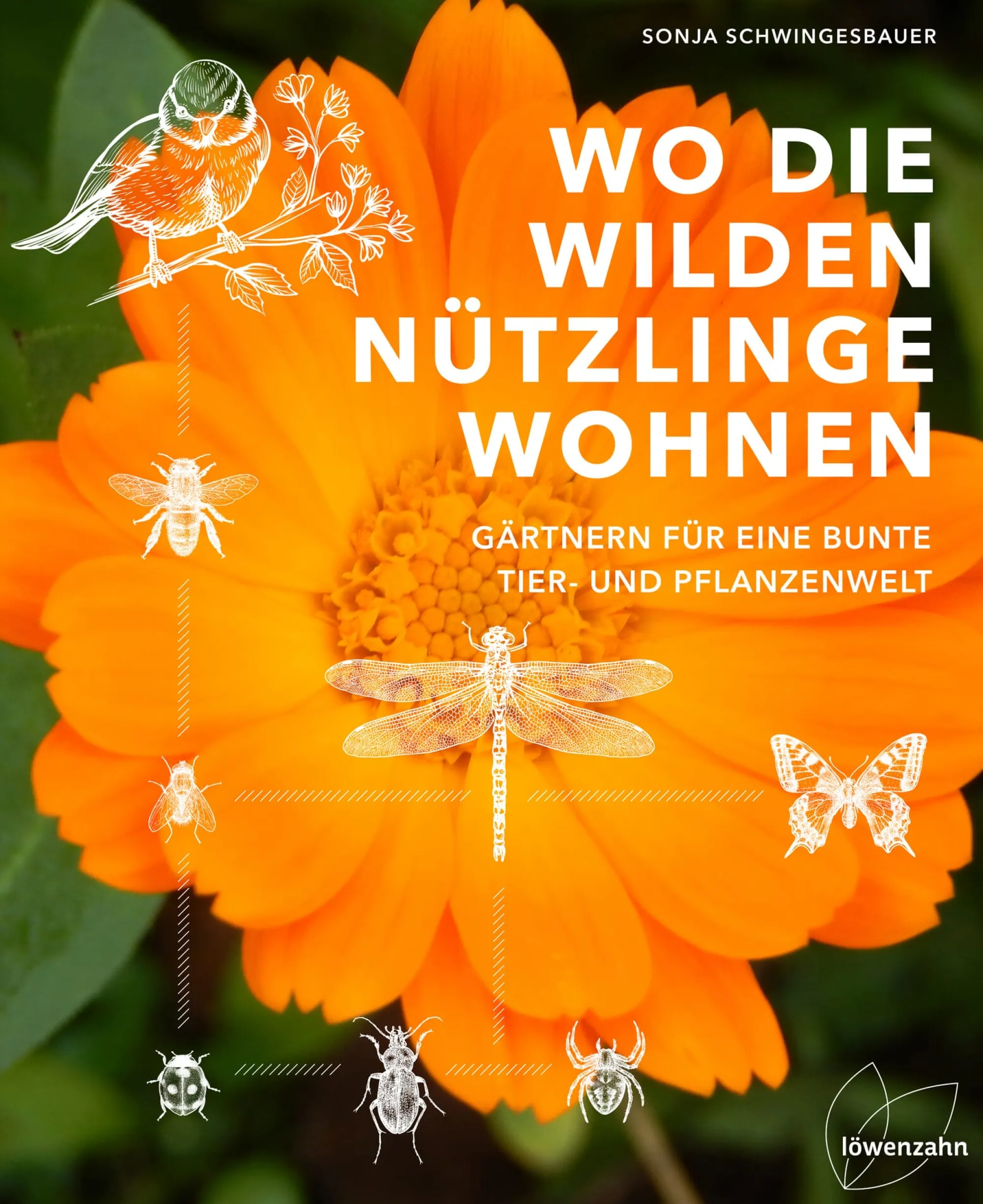 Garten & Natur|Ratgeber * Löwenzahn Verlag Wo die wilden Nützlinge wohnen