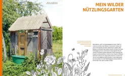 Garten & Natur|Ratgeber * Löwenzahn Verlag Wo die wilden Nützlinge wohnen